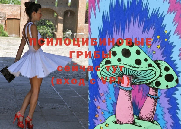 apvp Белокуриха