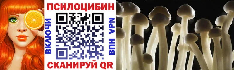 Галлюциногенные грибы ЛСД  Купить где  Краснознаменск 